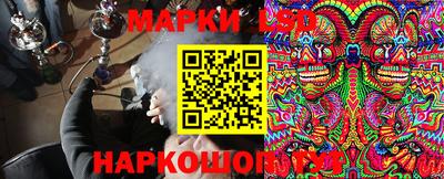 a pvp Кингисепп