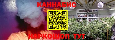 a pvp Кингисепп