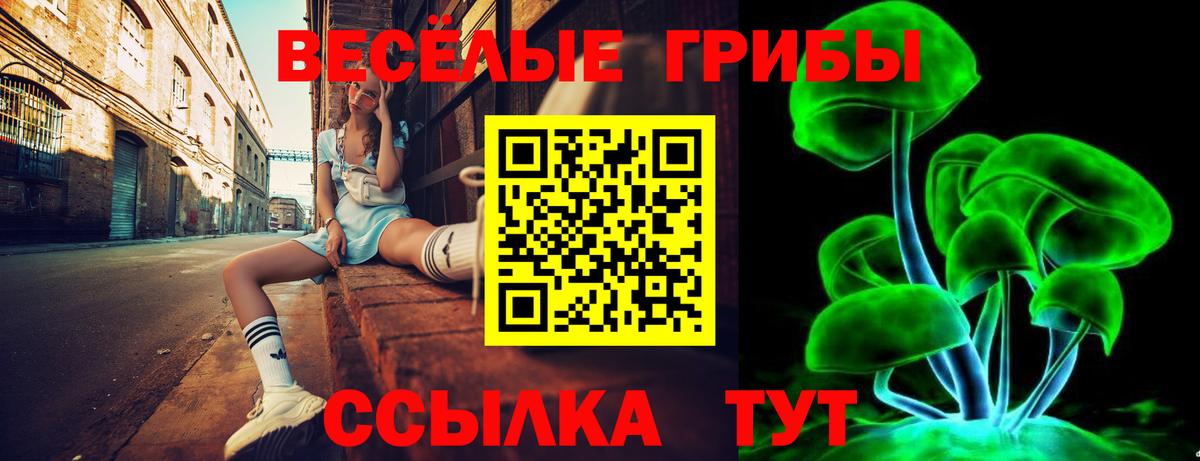 Псилоцибиновые грибы мухоморы Котельники